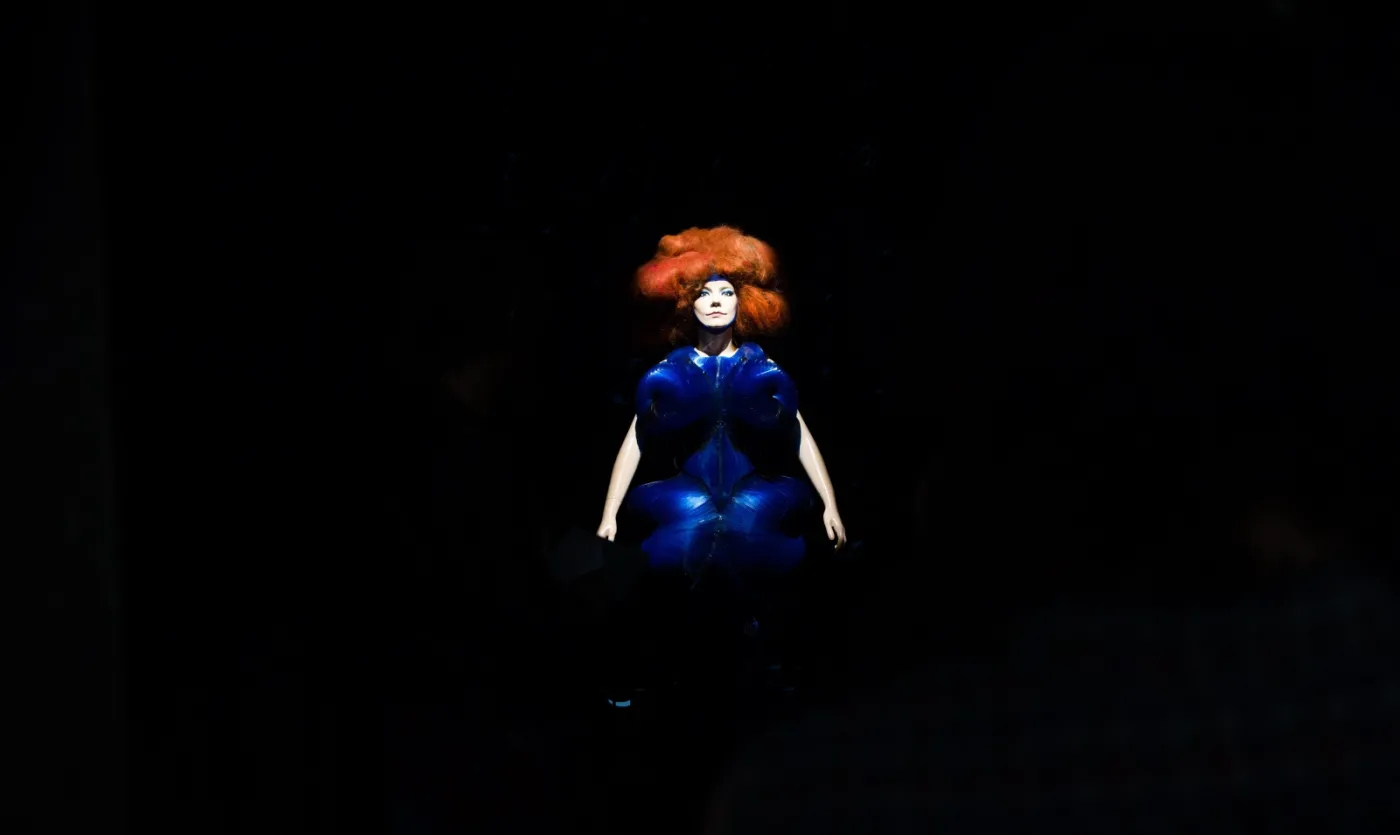 7496450-bjork.jpg