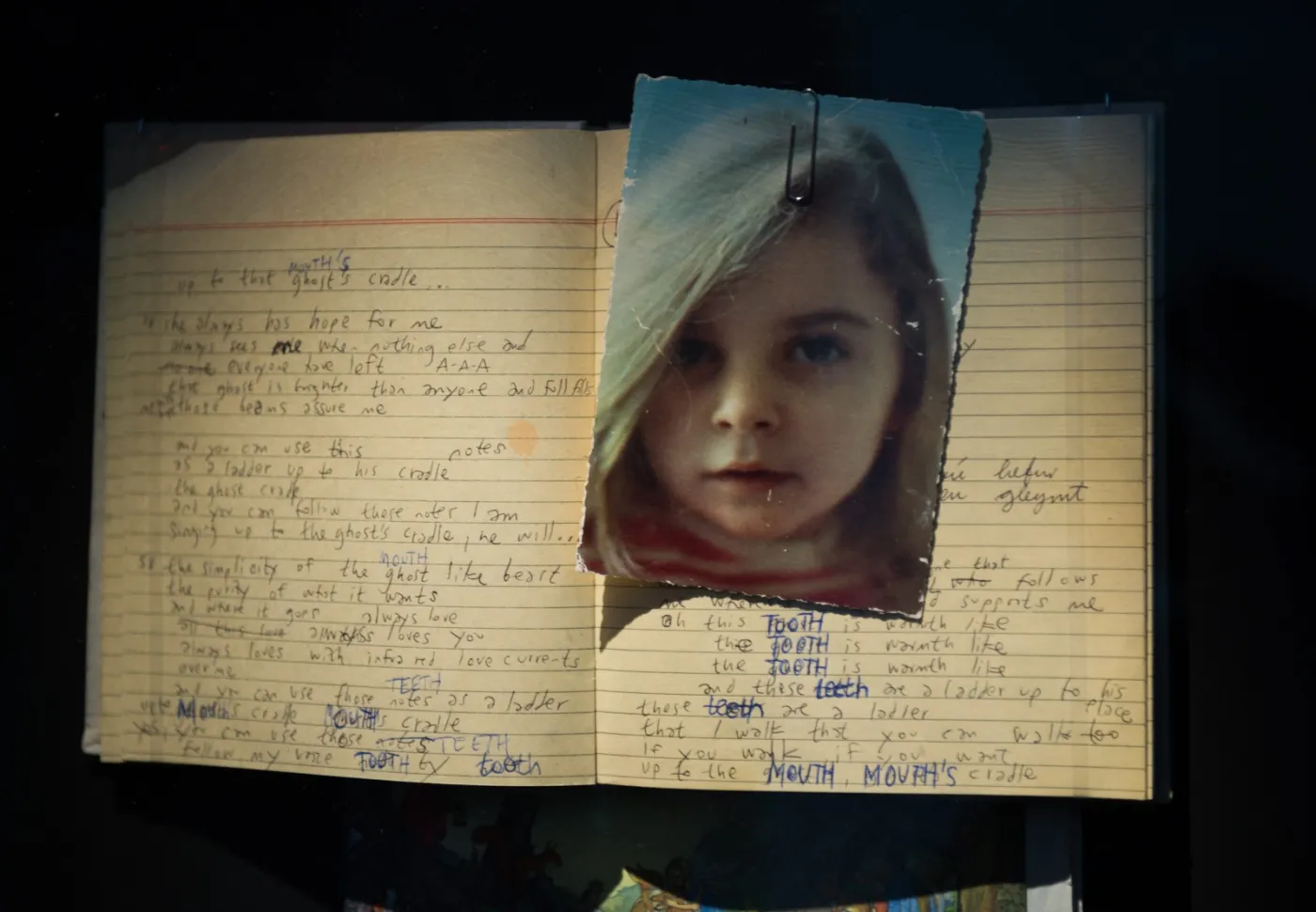 7496250-bjork.jpg