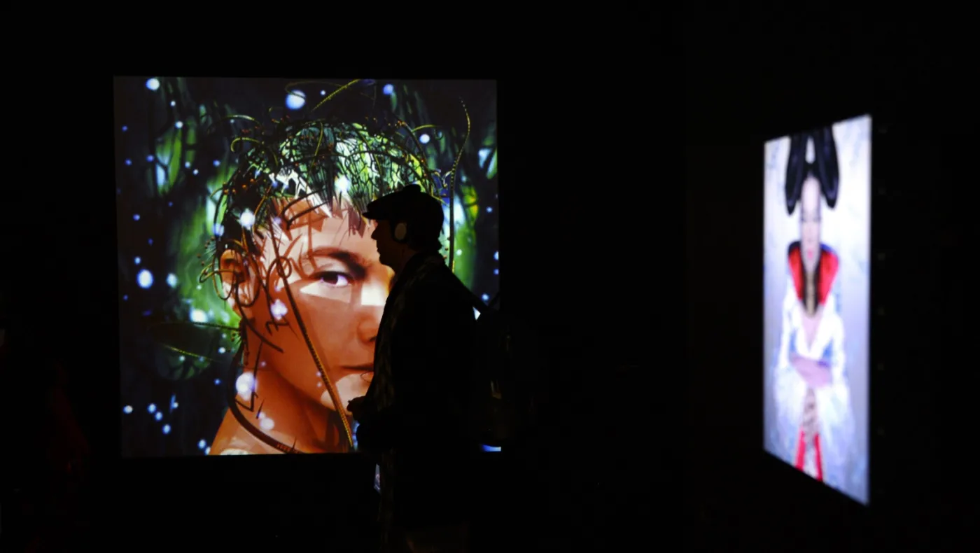 7496334-bjork.jpg
