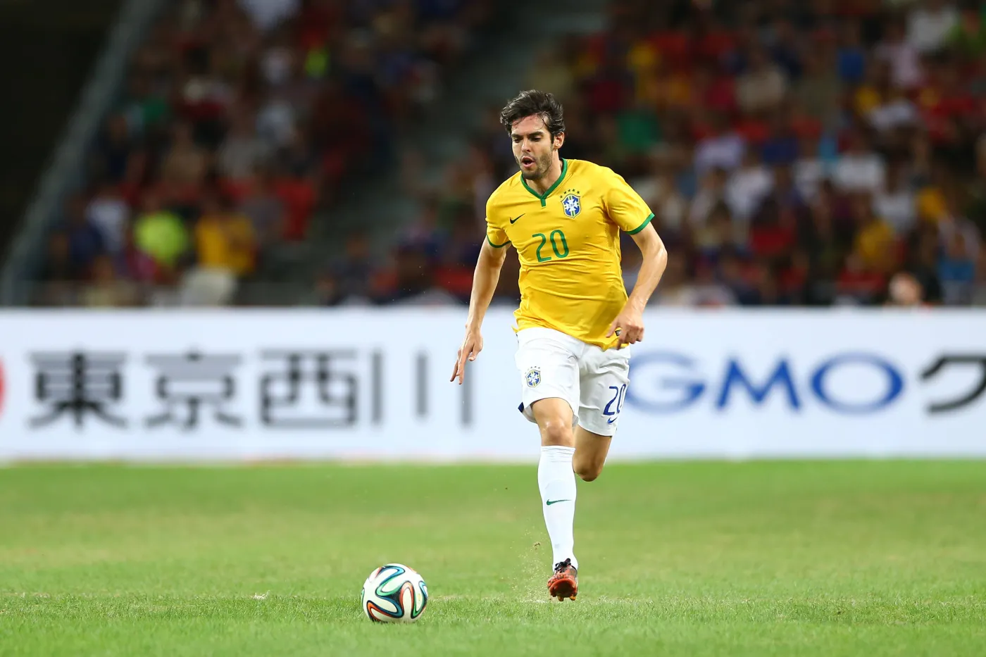 7544513-kaka.jpg