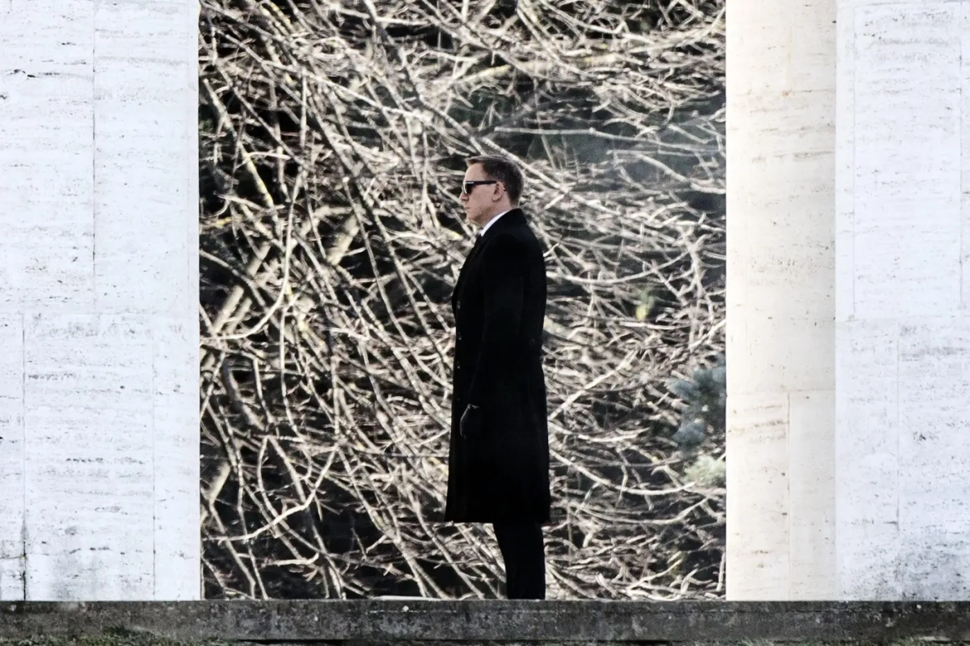 7446462-bond.jpg