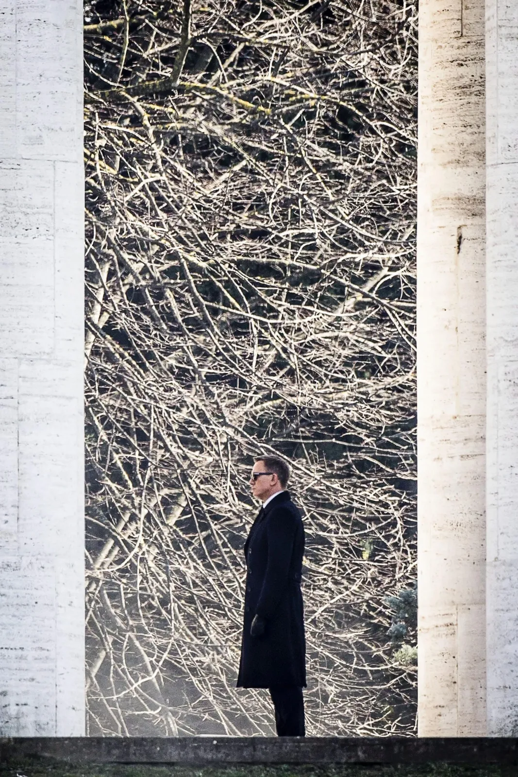 7446520-bond.jpg