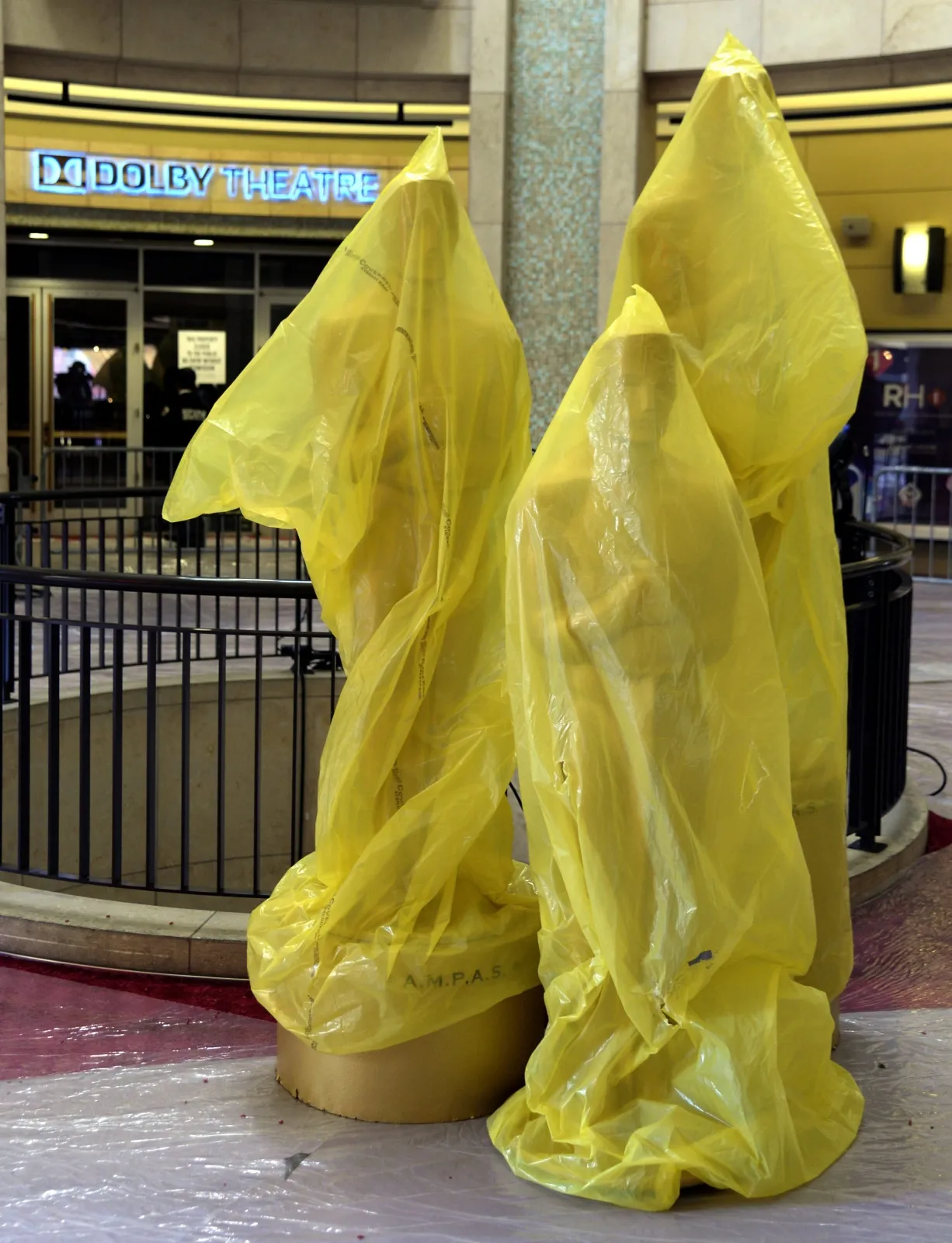 7451591-oscary.jpg