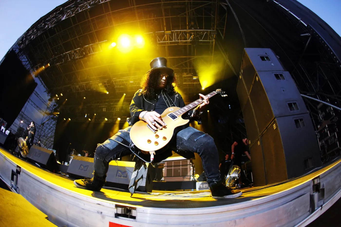 7987212-slash.jpg