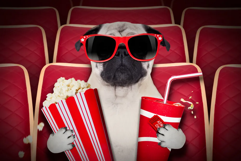 kino