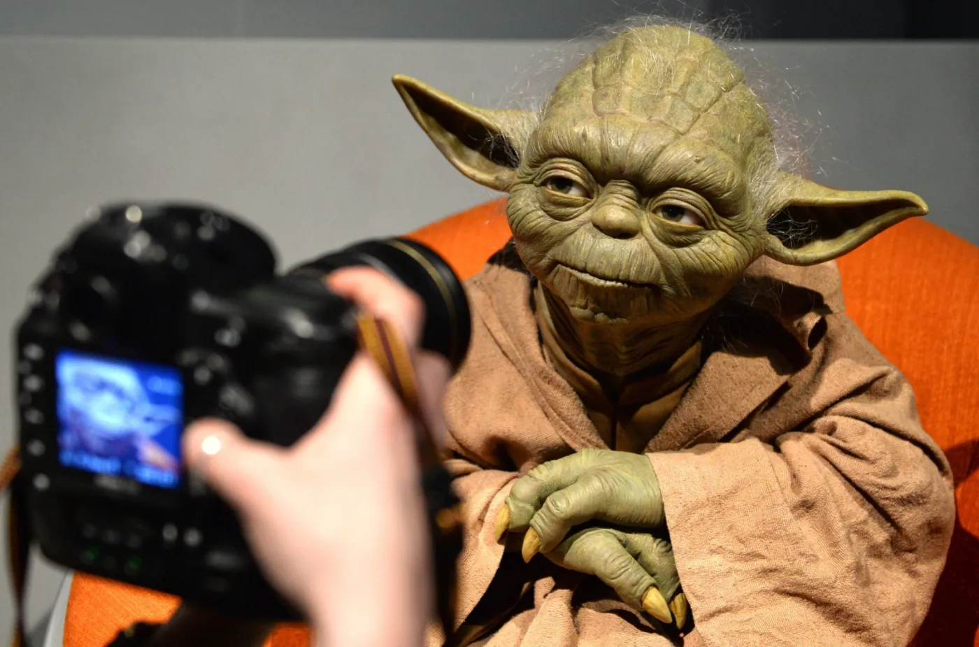 7753585-yoda.jpg
