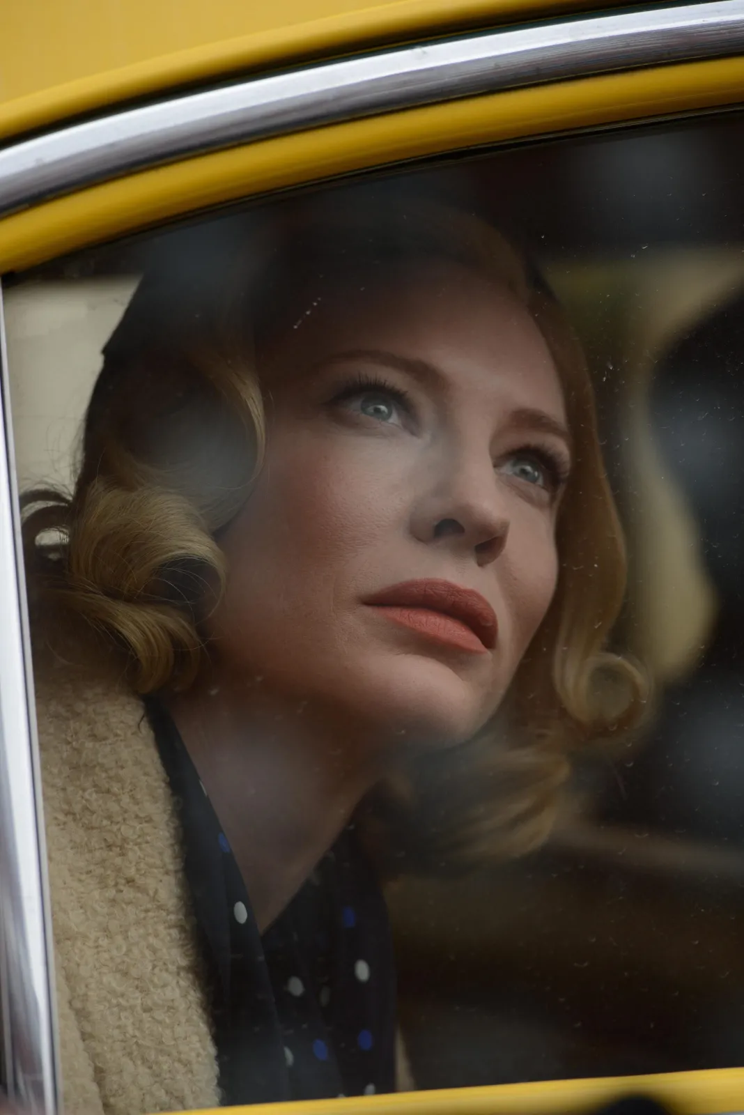 7779174-carol.jpg