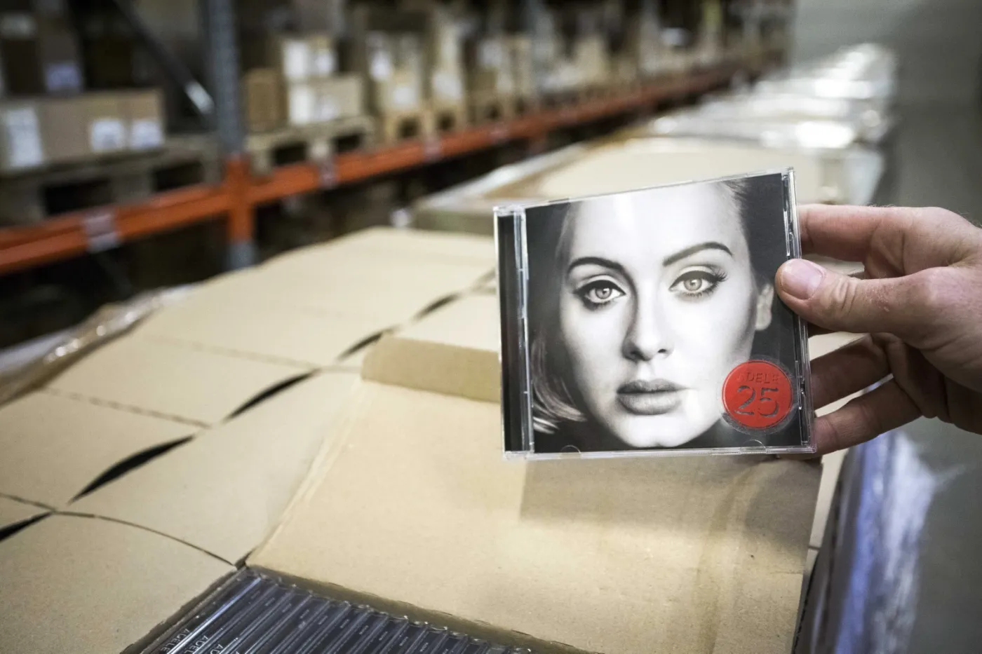8447017-adele.jpg