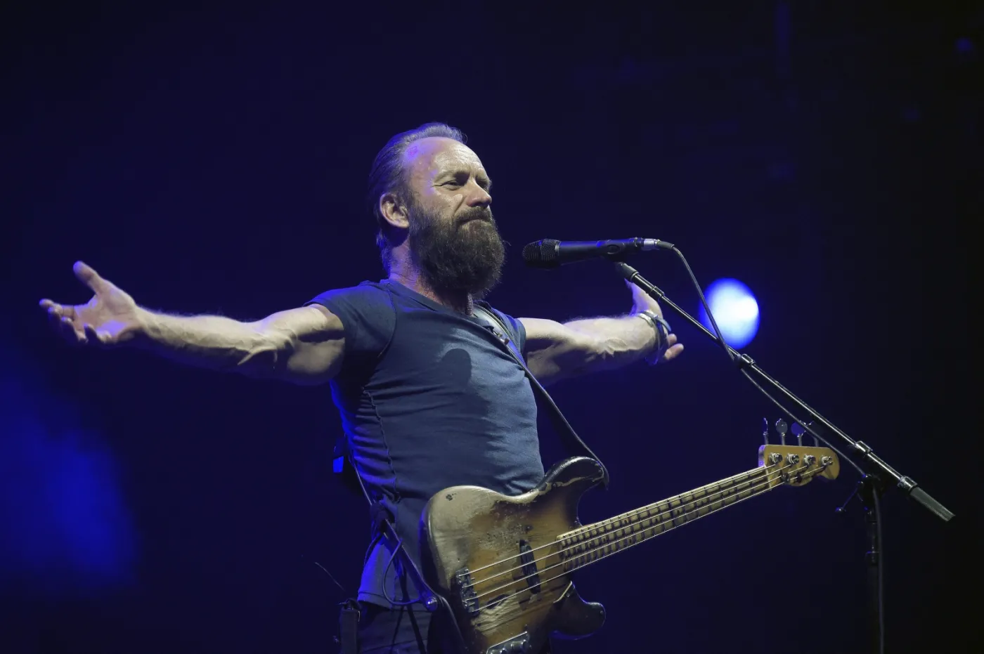 7953202-sting.jpg