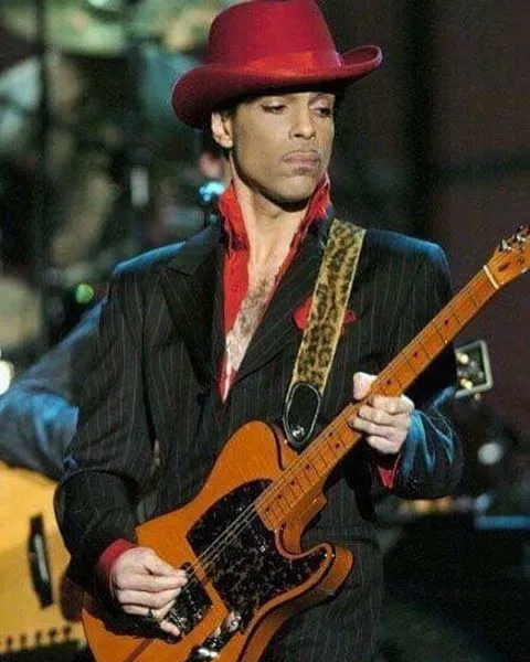 8973736-prince.jpg