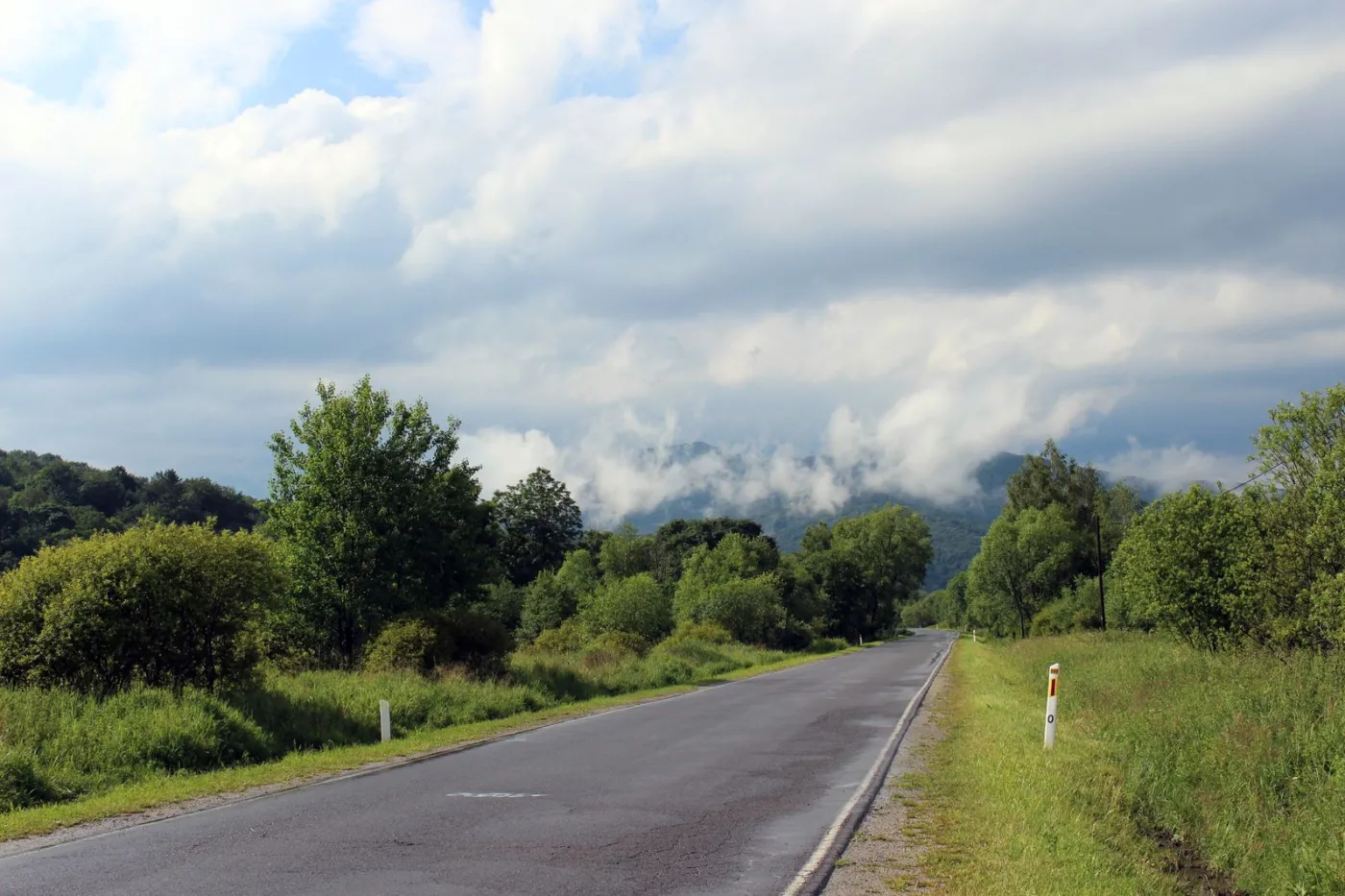 9312159-fot-a.jpg