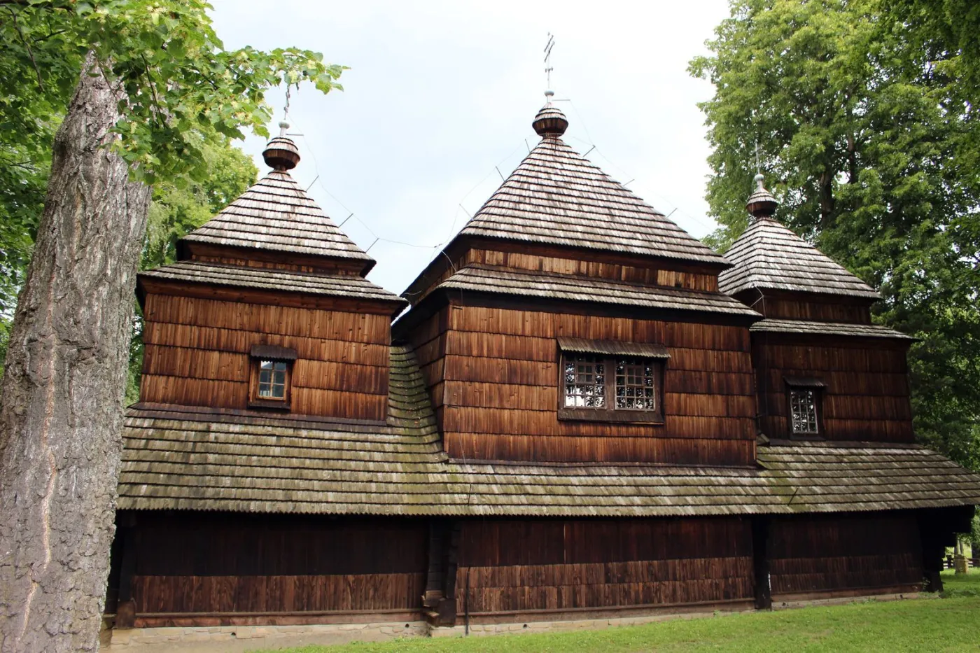 9312223-fot-a.jpg