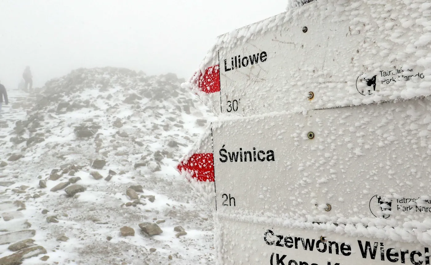 12609886-tatry.jpg