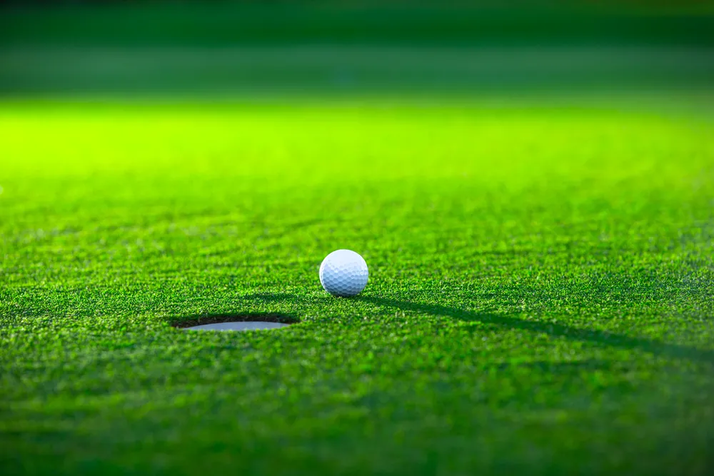 Golfista za awanturę w samolocie zapłaci sześć milionów złotych