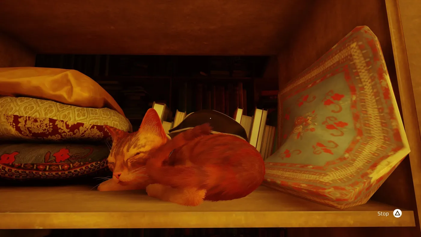 Stray. Są powody do mruczenia [RECENZJA]