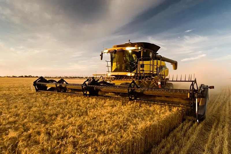 Viterra Polska 
