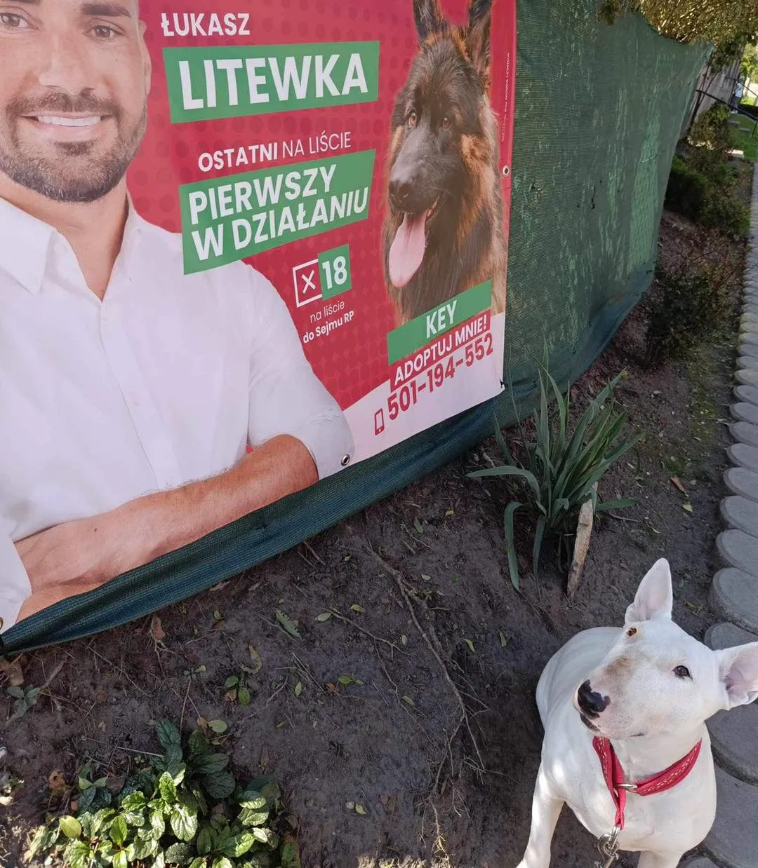 Działacz społeczny z Sosnowca sensacją tegorocznych wyborów. "To interesujące"