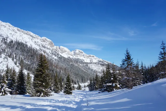 Tatry. Wyszedł na szlak i nie wrócił, ruszyły poszukiwania