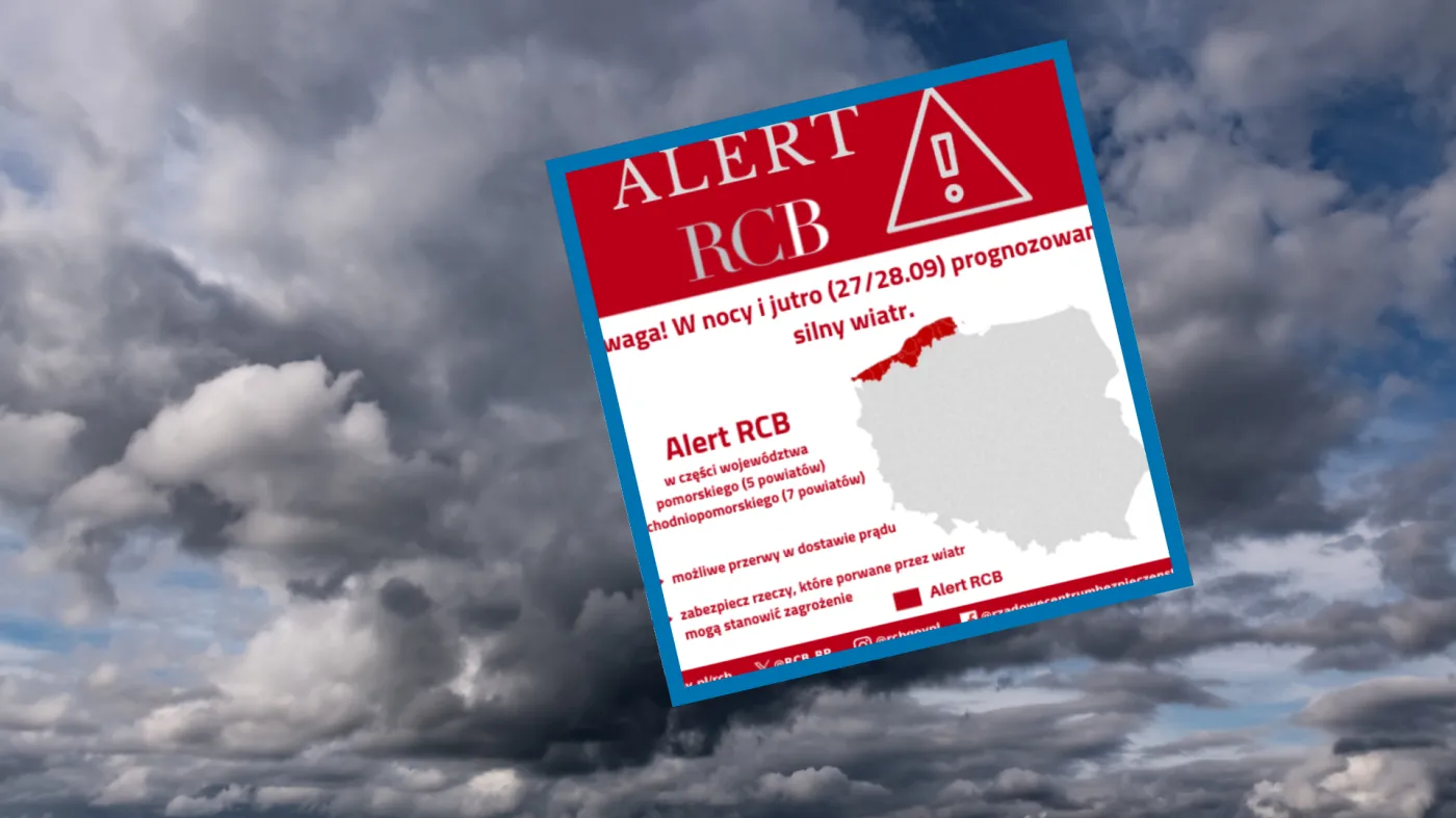 alert