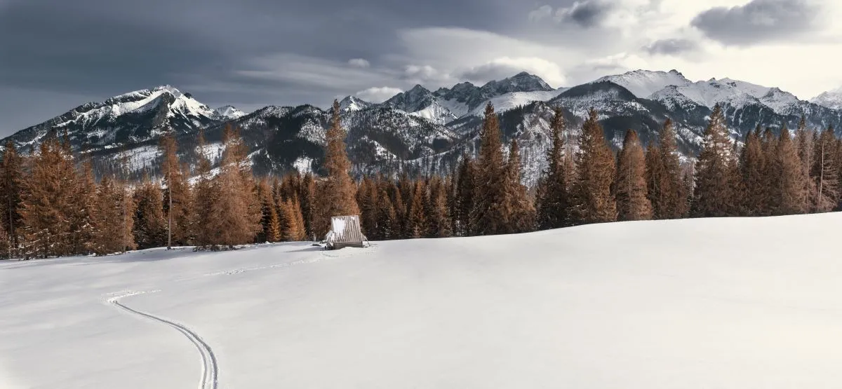 Tatry