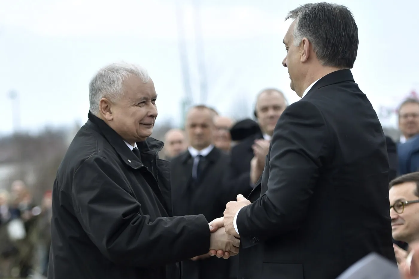 Jednostronna miłość? "Orban nie szanował PiS, uważał ich za nieudaczników"
