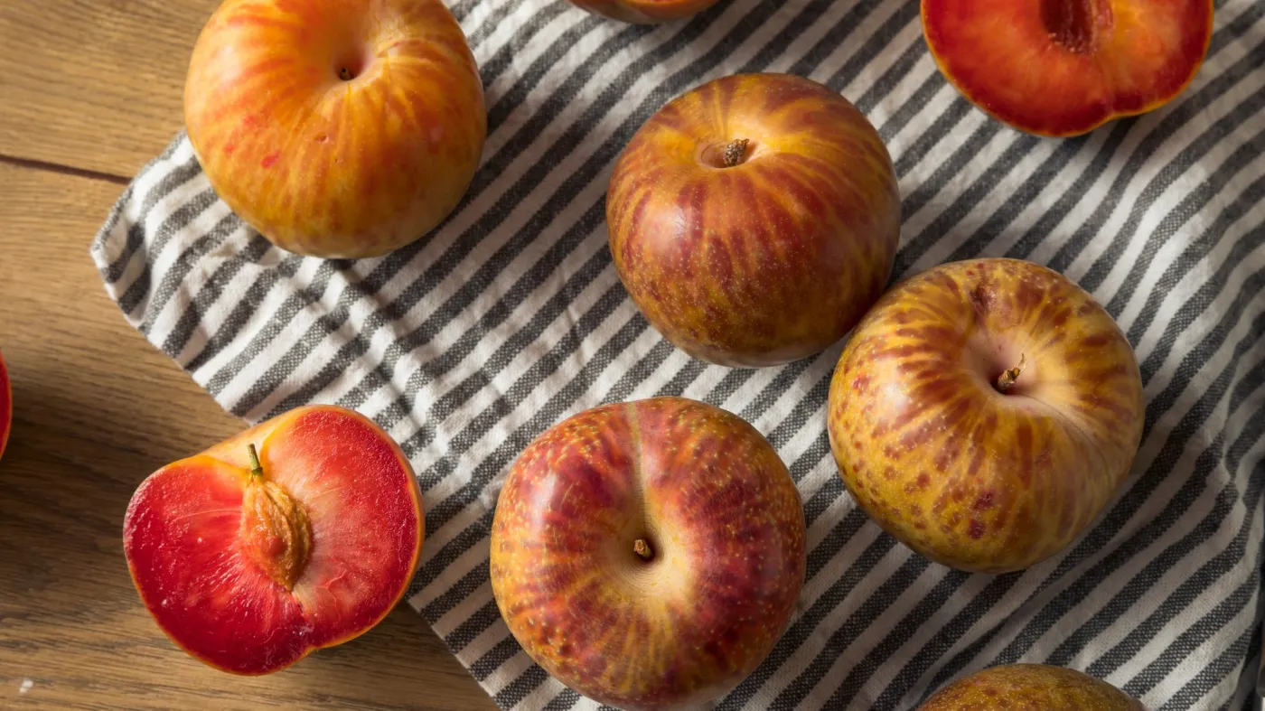 Pluot