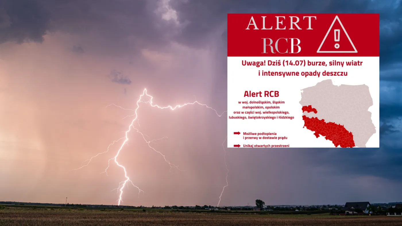 alert