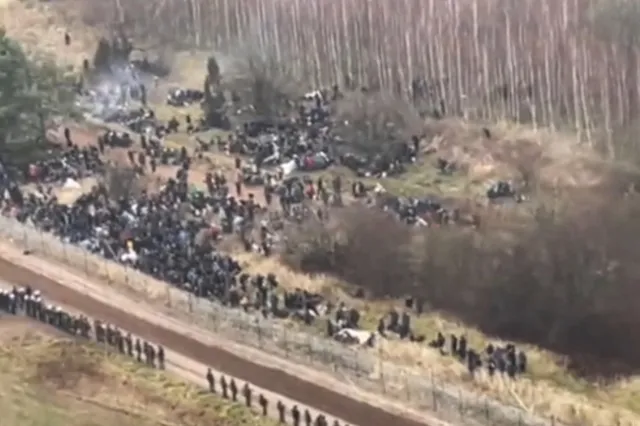 Kolejna nieudana próba siłowego przekroczenia granicy w rejonie Białowieży