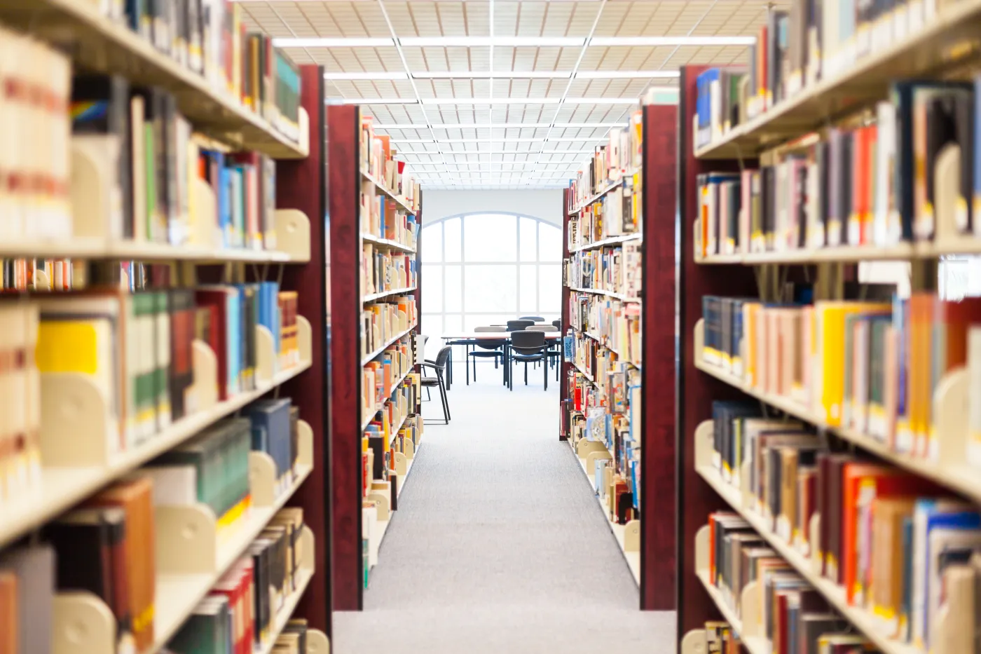 Biblioteka, czyli sieć połączonych umysłów. O książce "Pożegnanie z biblioteką"
