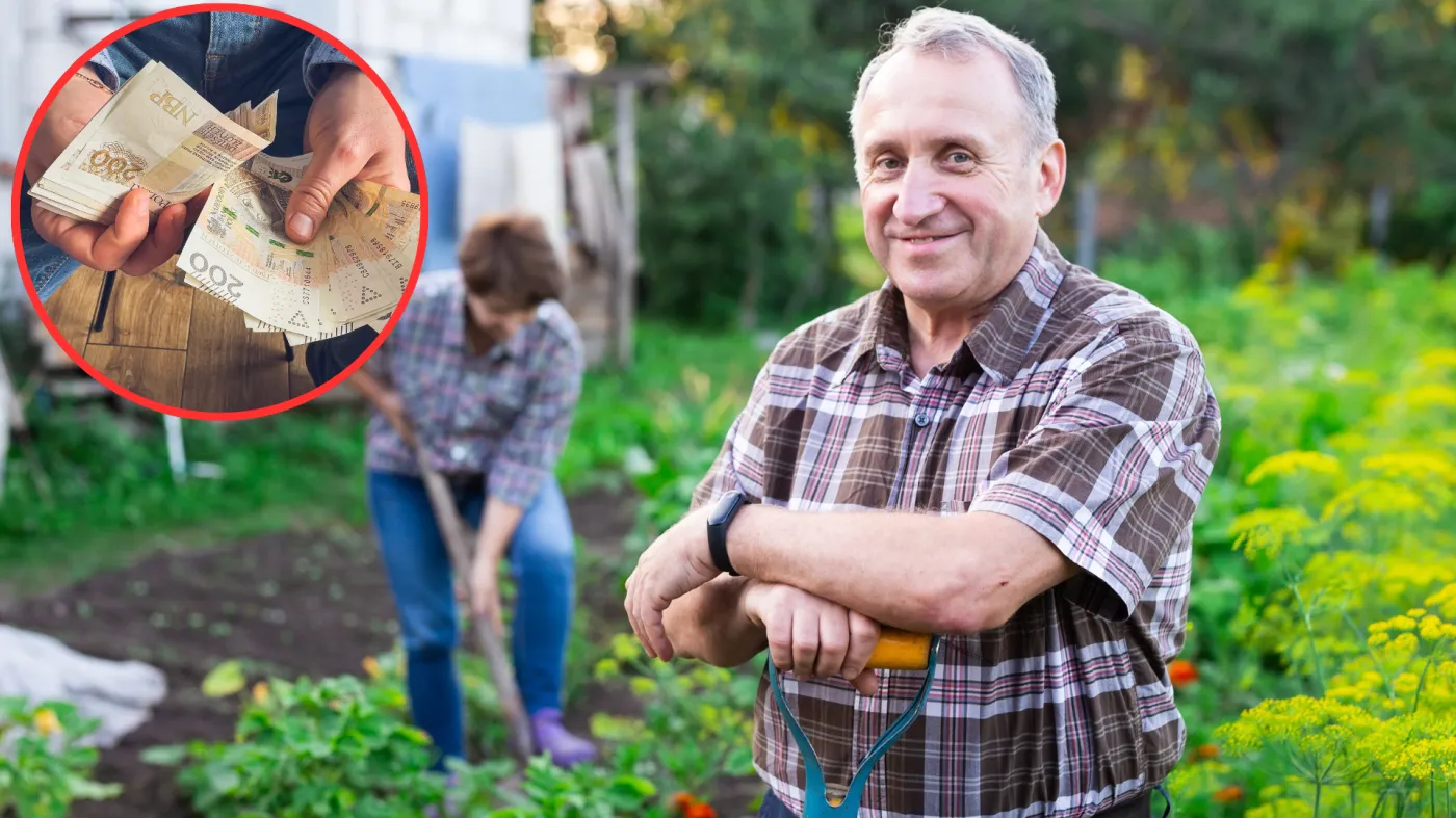 Miła niespodzianka od rządu dla rolników: dostaną 2400 zł za każdy hektar. Nowe świadczenie rekompensatą za ciężki rok
