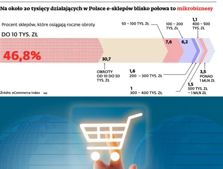 Na około 20 tysięcy działających w Polsce e-sklepów blisko połowa to mikrobiznesy