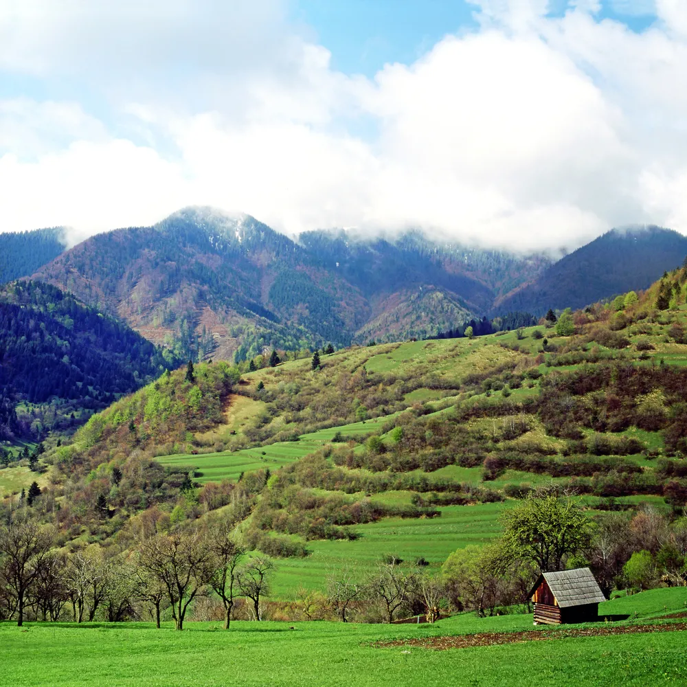 953125-vikolinec.jpg