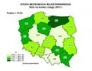 Bezrobocie w Polsce rośnie. GUS podał dane za luty 2013