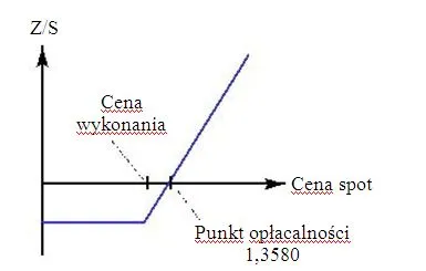 Opcje walutowe dla początkujących