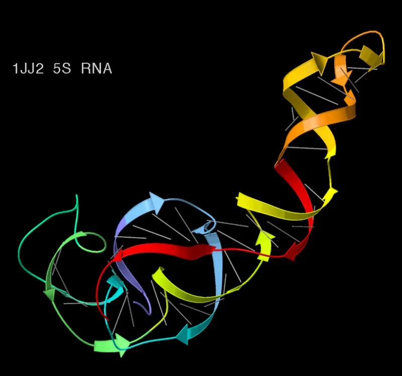 9. Leki na bazie RNA
