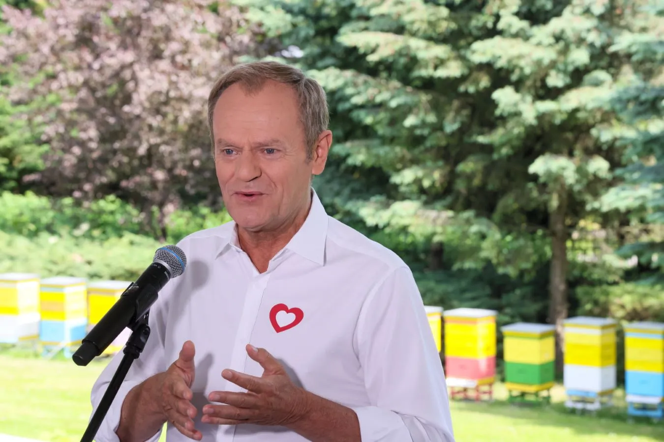 Tusk o wniosku premiera do TK: Pomysł bardzo amatorski, chuligan z podstawówki mógł wykombinować coś takiego