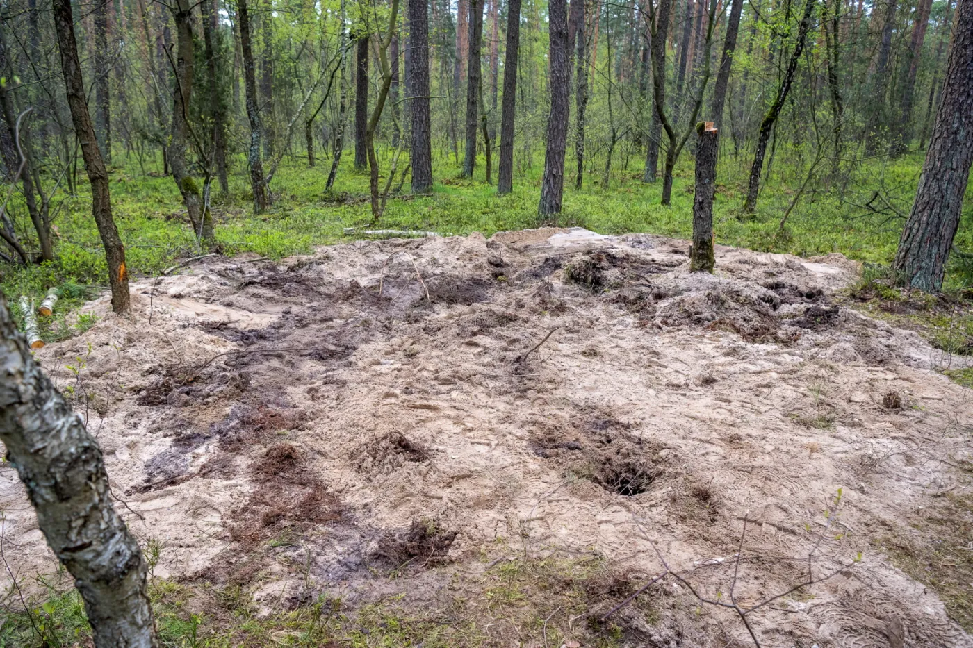 Obiekt powietrzny znaleziony pod Bydgoszczą. Prokuratura komentuje sprawę
