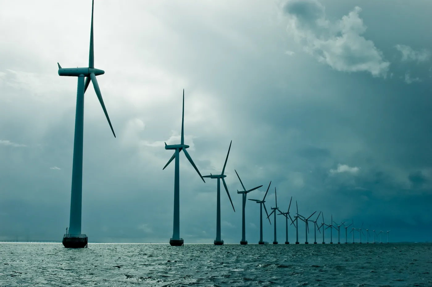 Zalicki: Consumers and employees surpass Polish companies on the path to a sustainable future