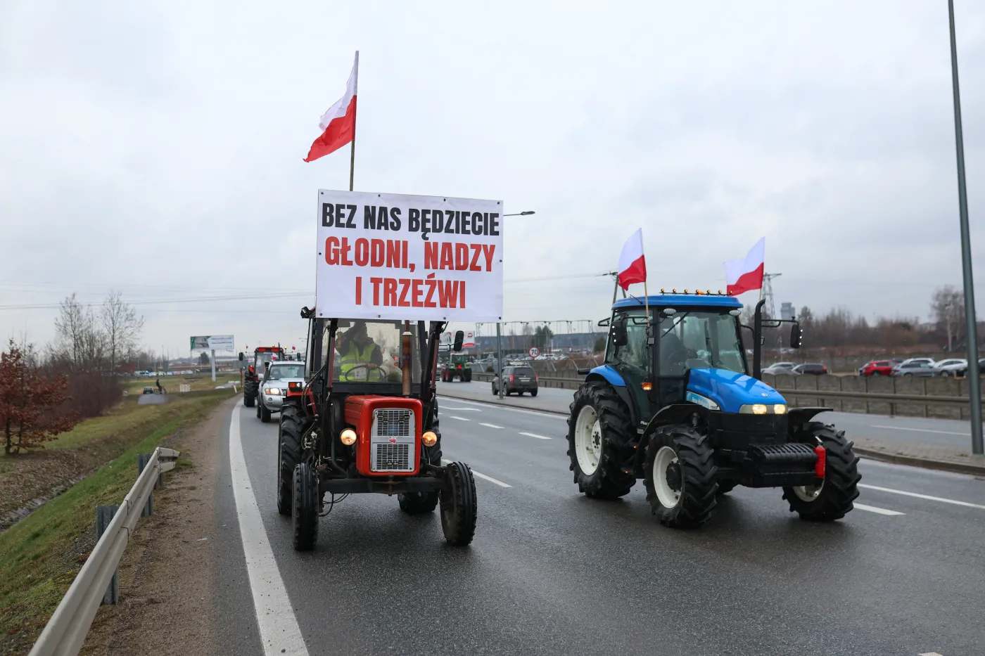 Minister rolnictwa: Na spotkaniu ministrów w Brukseli będę żądał ograniczenia "Zielonego Ładu"