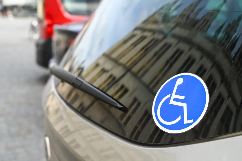 niepel auto