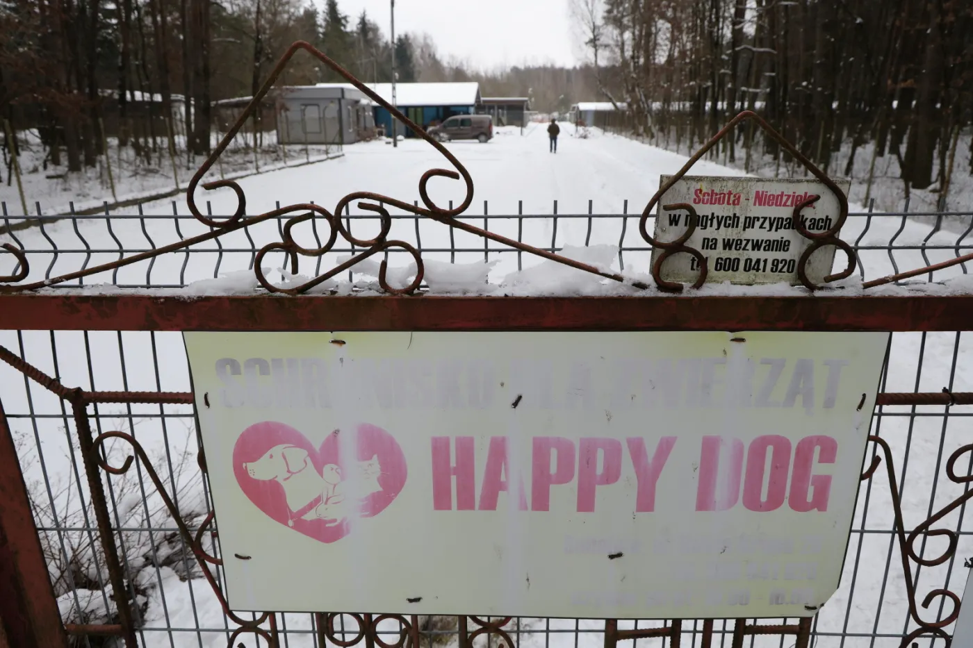 Schronisko dla zwierząt "Happy Dog"