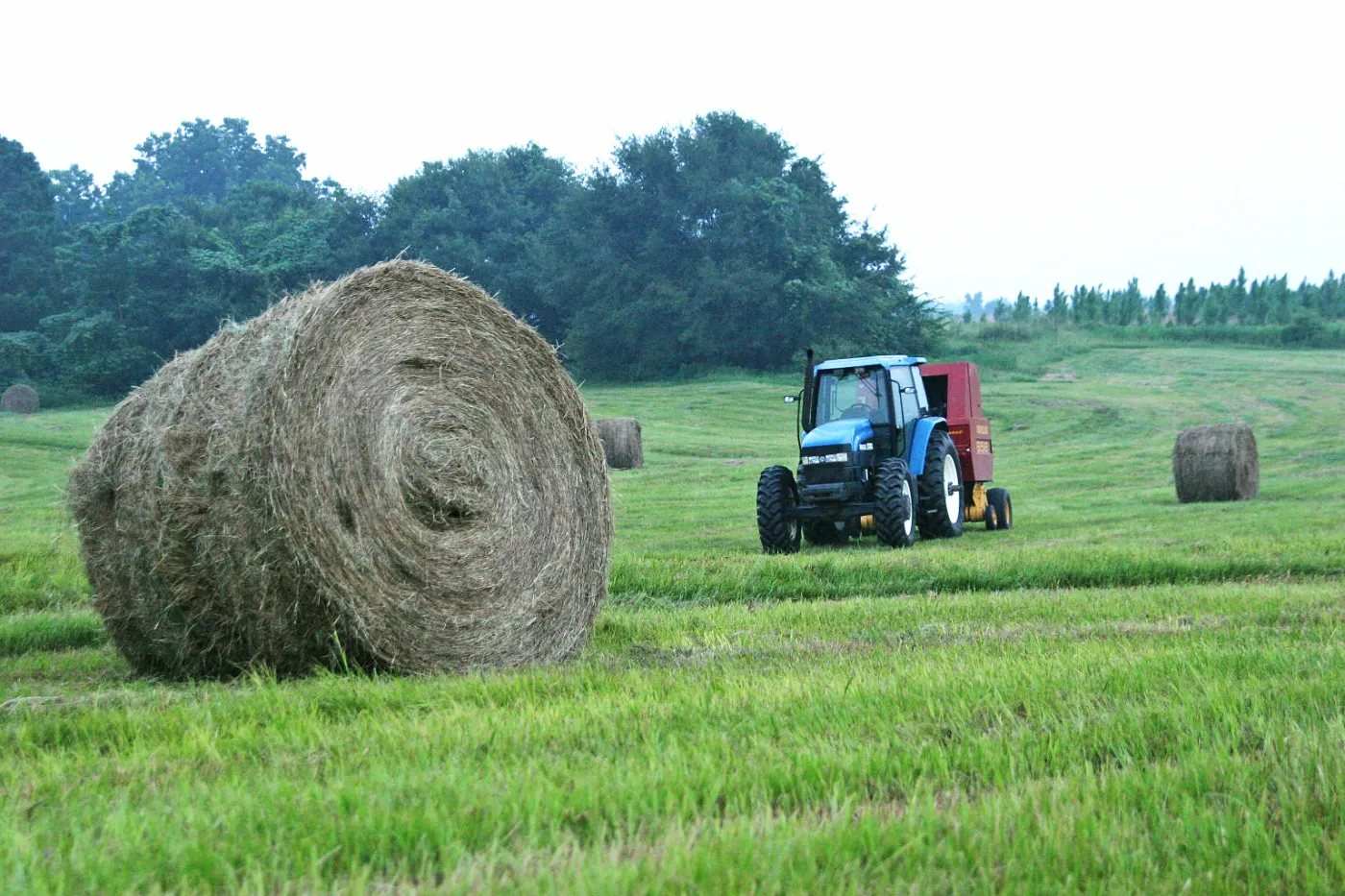 Rolnicy otrzymają do 15 tys. zł zasiłku celowego