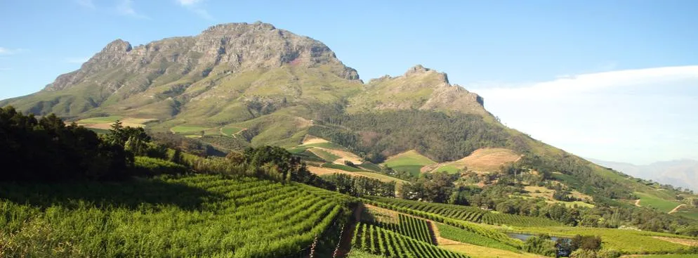 1076228-stellenbosch.jpg