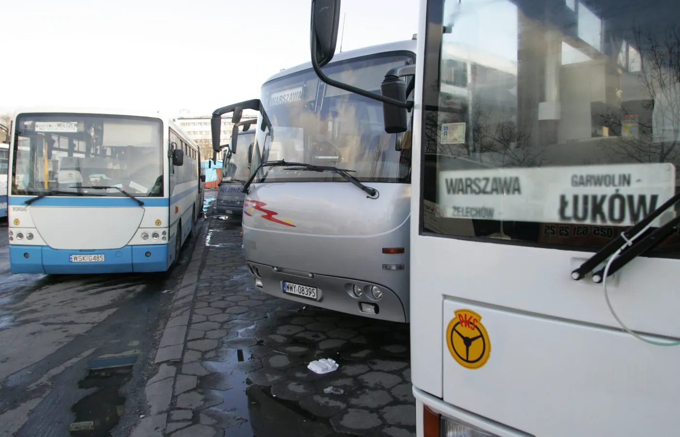 PKS wraca na drogi. Chce relizować połączenia na terenie całego kraju