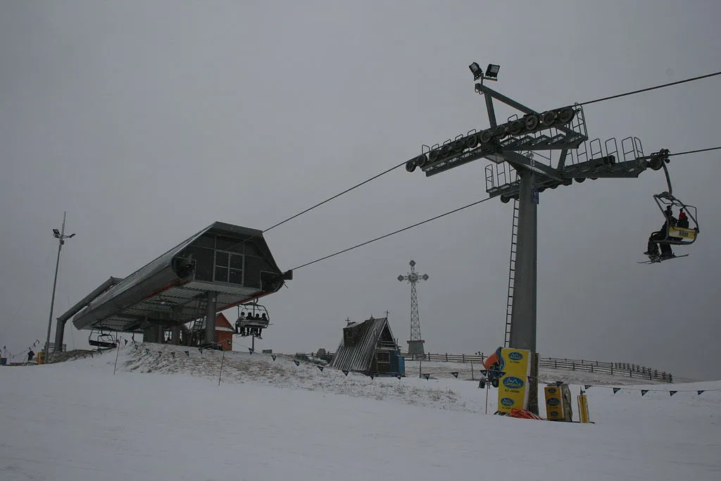 1102322-grapa-litwinka.jpg