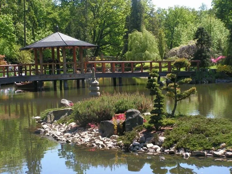 862291-ogrod-japonski.jpg