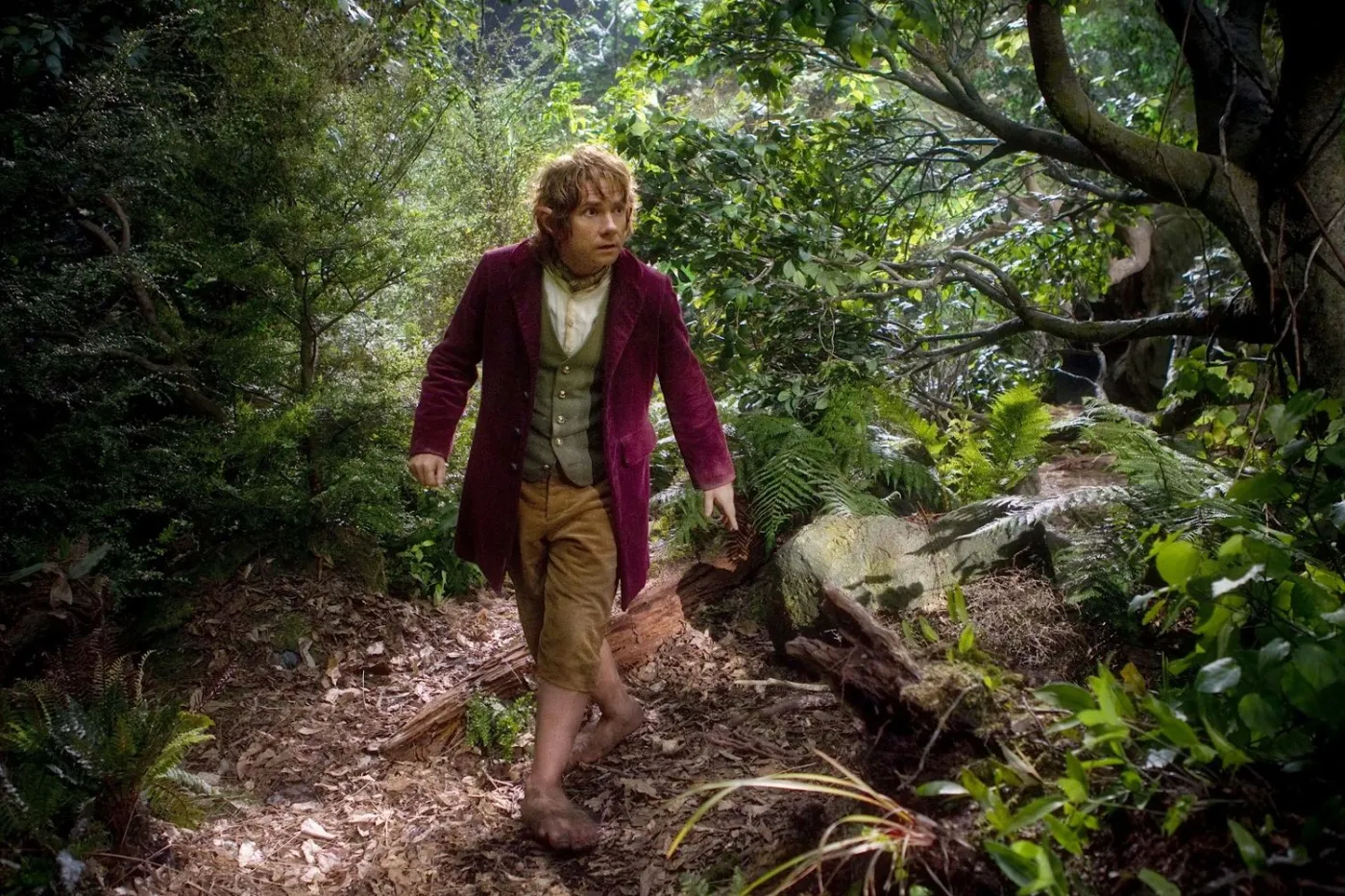 1617827-martin-freeman.jpg
