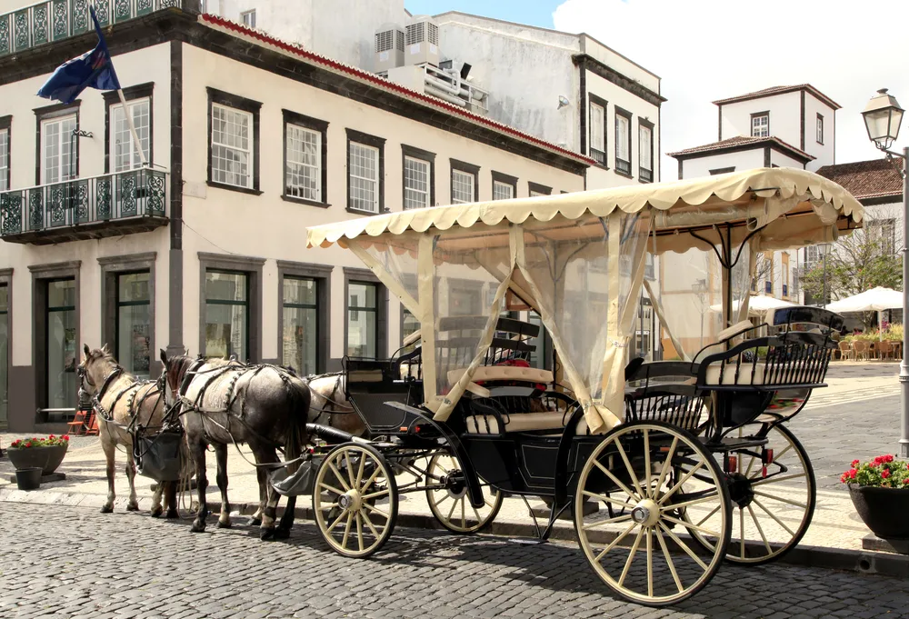 1361740-punta-delgada.jpg