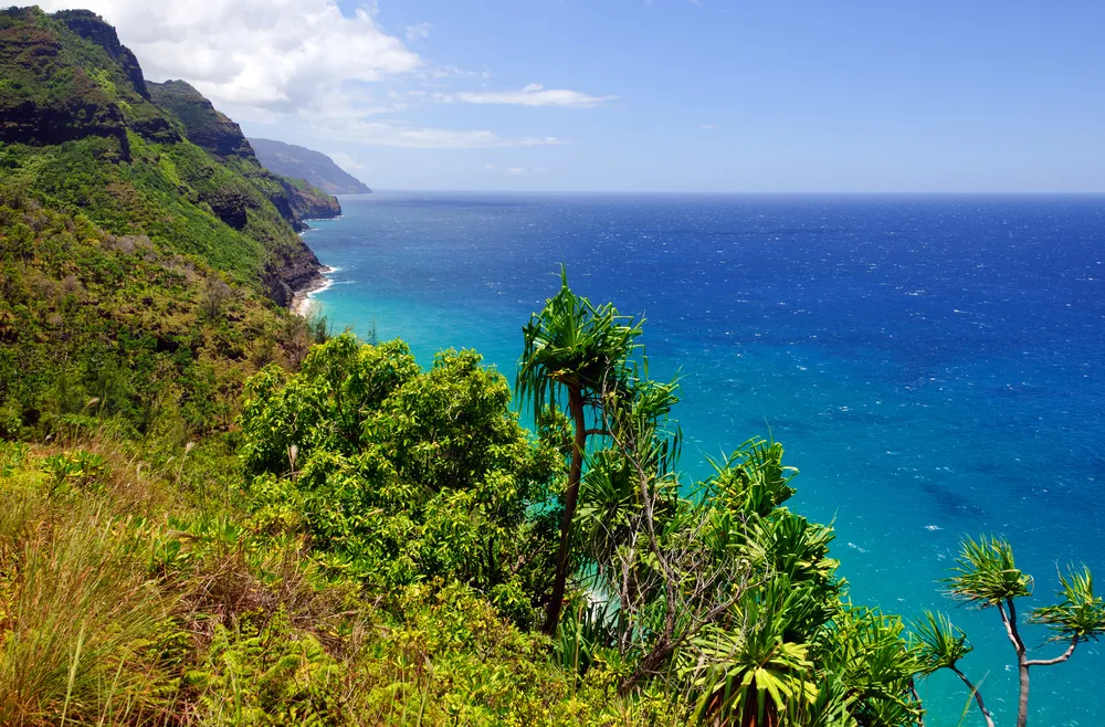 1405834-kauai-hawaje.jpg