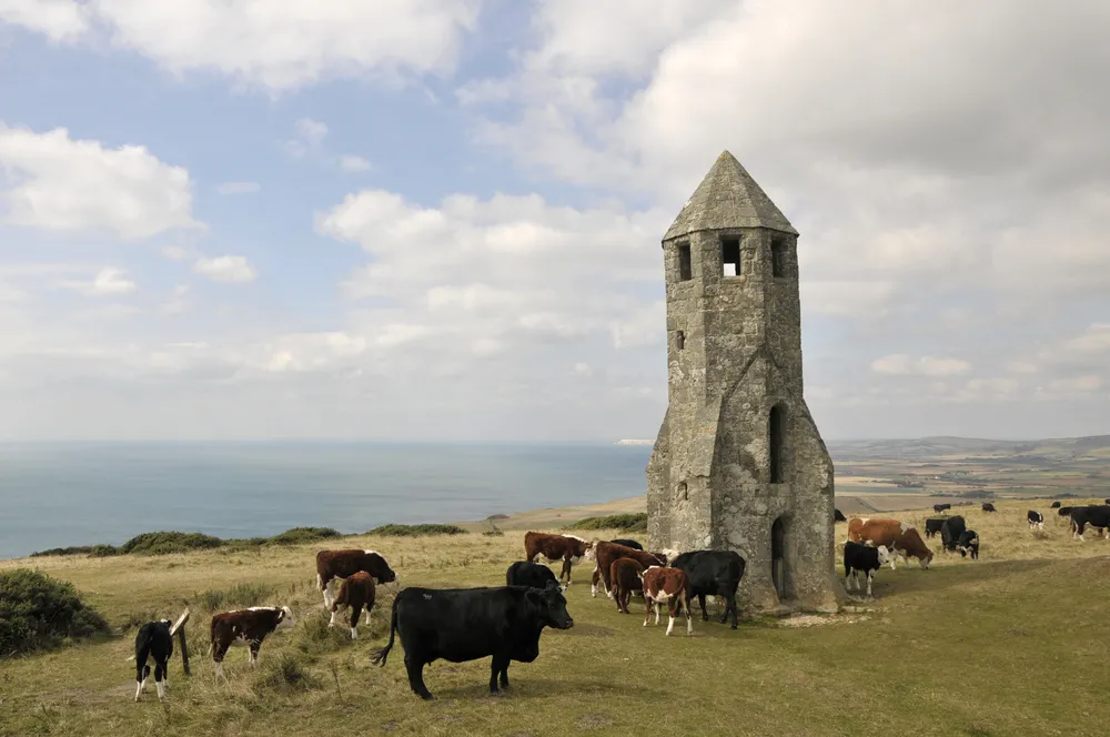 2125138-isle-of-wight.jpg